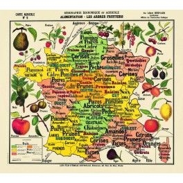 Apprenez les fruits et les baies (cartes de Doman)