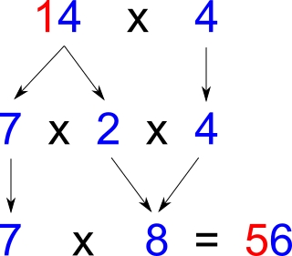 Esempi di moltiplicazione per 4