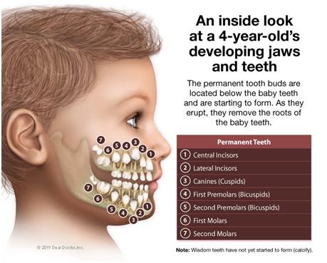 Il bambino ha paura di curare i denti all'età di 5 anni