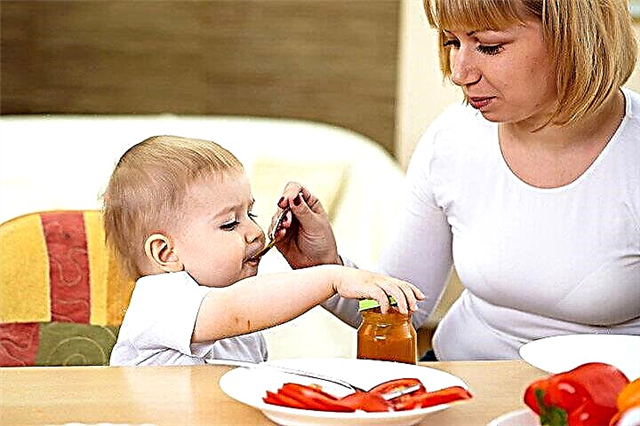 Como alimentar um bebê de 1 ano