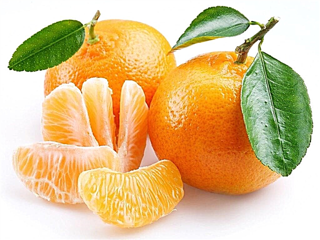 At what age can a child be given tangerines
