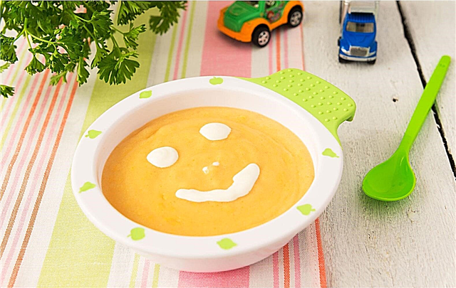 Supă pentru un bebeluș de 8 luni - rețete pentru fiecare zi