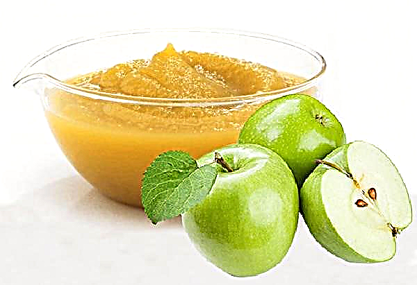 Apfelmus zum Selbermachen für Babys aus frischen Äpfeln - Rezept