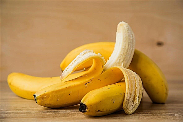 Er det muligt at få en banan på 5 måneder for et barn - hvordan man går ind
