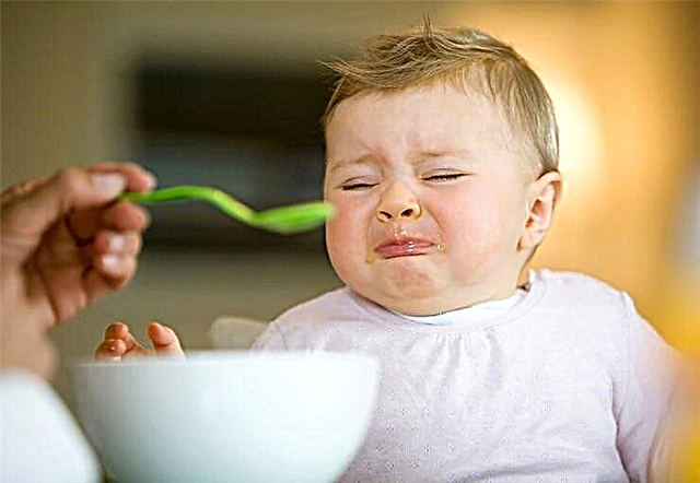 Barnet äter inte gröt - möjliga skäl för vägran