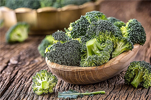 Berapa banyak memasak brokoli beku untuk anak