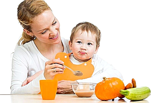 قائمة طعام لطفل يبلغ من العمر 8 أشهر يرضع من الثدي