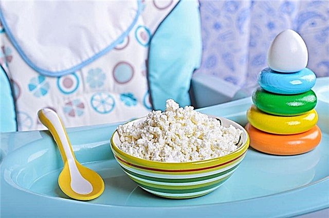 बच्चों के लिए कॉटेज पनीर खिलाने की पूरक - घर पर कैसे बनाएं