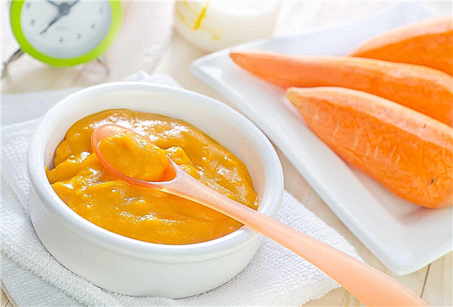 Purée de carottes pour bébés - recette