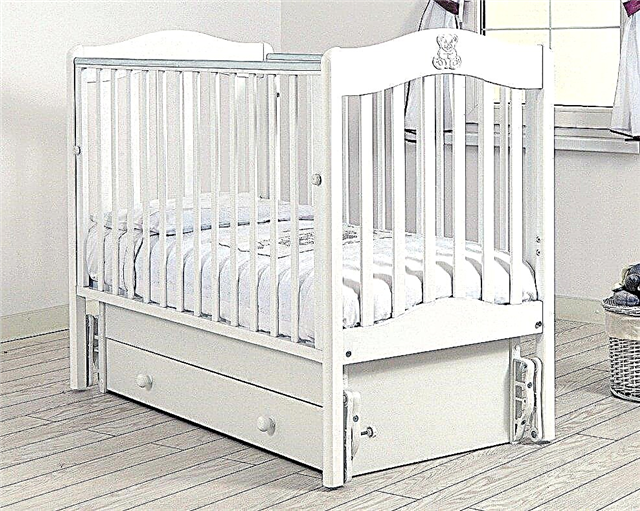 เตียงสำหรับทารกแรกเกิด - คะแนนที่ดีที่สุด