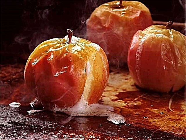 Baked apple in the oven for a child up to a year