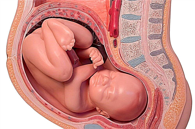 Hvordan oppfører babyen seg før fødselen - aktiviteten til babyen