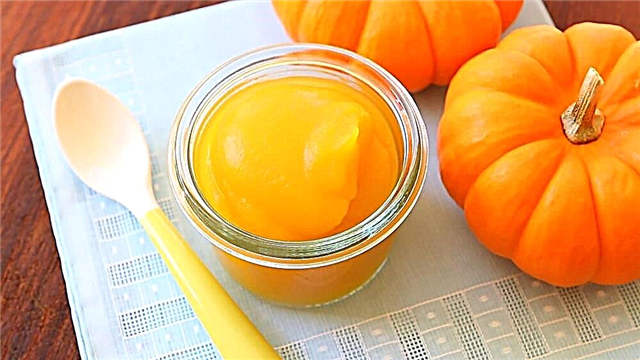 Pumpkin puree for babies - how to cook