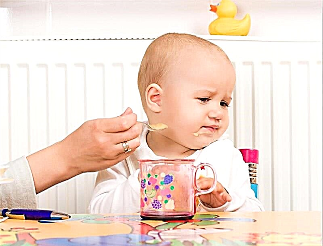 Barnet spiser ikke kødpuré - hvordan man lærer, hvad man skal erstatte