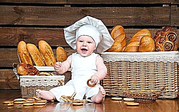 Кога на детето може да се дава хляб и какво