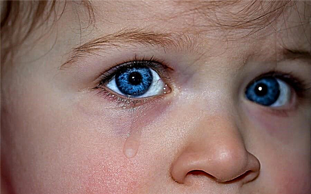 Hvorfor har et barn blå cirkler under øjnene - alarmerende symptomer