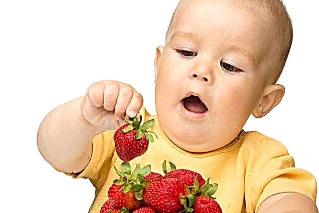 Landsgodt: i hvilken alder kan børn få jordbær, hindbær og andre bær