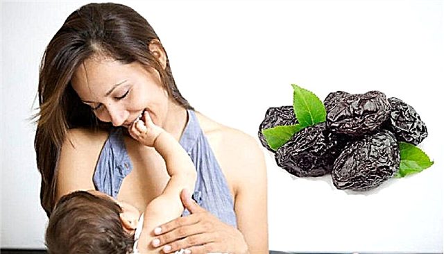 स्तनपान के लिए prunes के 11 स्वास्थ्य लाभ