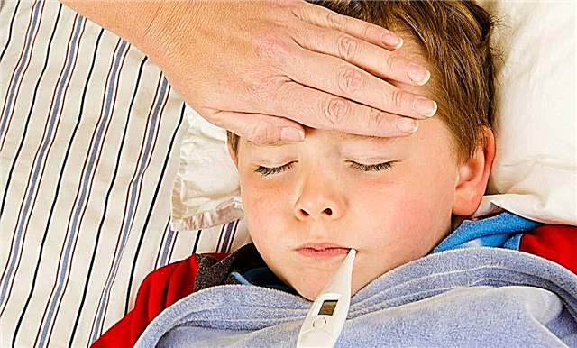 7 cauze probabile ale sindromului hipertermic la copii și metode de tratare a acestuia