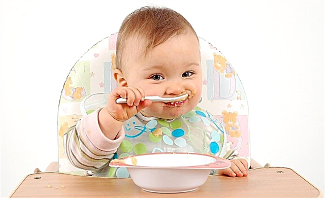 9ヶ月の子供のためのメニュー：私たちは最高の製品を選択し、おいしい料理を準備します