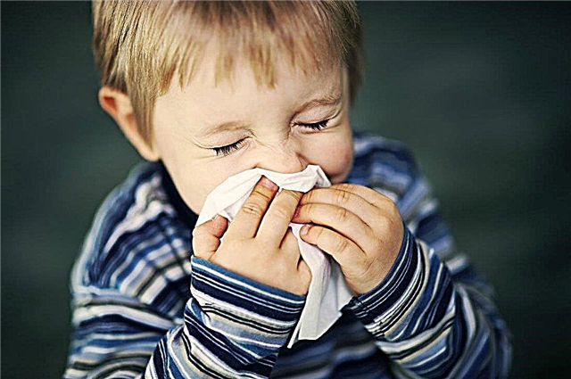 Prodloužený výtok z nosu u dítěte a 12 způsobů jeho kompetentní léčby, o které mluví pediatr