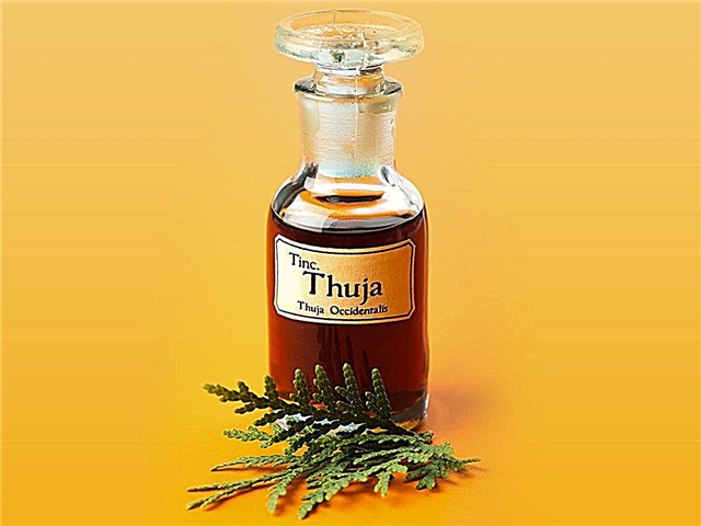 Thuja oil as a treatment for adenoids in children