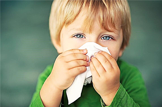 7 zdravnikovih priporočil, kako naučiti otroka, da pravilno piha nos, da ne škoduje in ne dobi zapletov