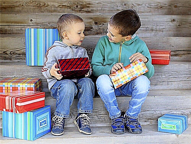 Що подарувати дитині на Новий рік: 15+ ідей подарунка на 2019 рік Свині
