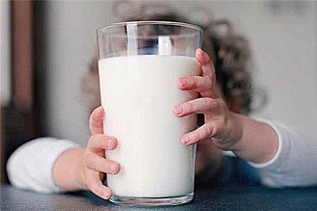 Cocina láctea en 2018: categorías de beneficiarios, documentos necesarios y composición del conjunto de alimentos