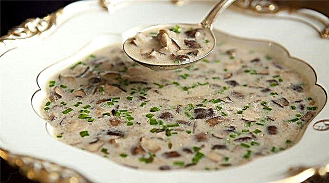 4 савета за додавање печурки и супе од печурака у бебину исхрану