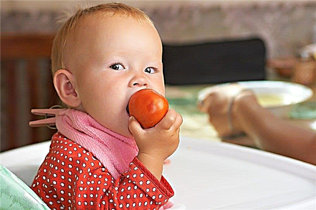 6 näpunäidet vanematele tomatite juurutamiseks beebi dieeti