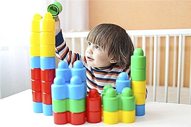 סקירה של 12 צעצועים חינוכיים לילדים בגילאי 2-3