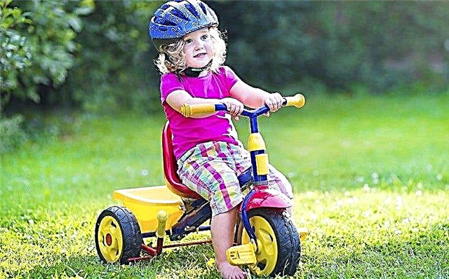 «Ех, прокатані», або як вибрати триколісний дитячий велосипед?