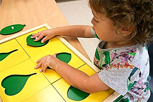 Montessori v vašem domu: ustvarite razvijajoči se prostor in didaktične materiale z lastnimi rokami