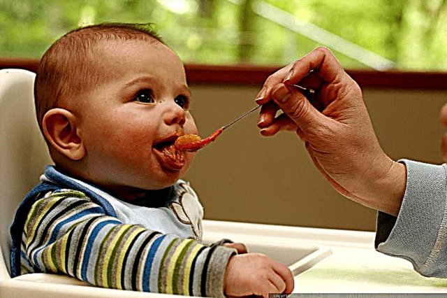 Tutto sugli alimenti complementari o 16 consigli del pediatra per introdurre i primi alimenti complementari