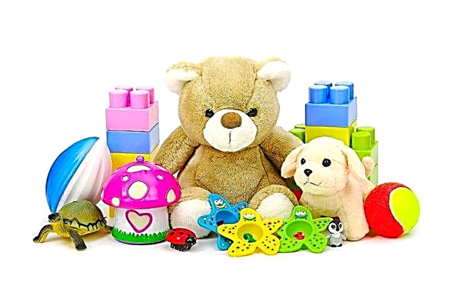 De bästa leksakerna för tjejer och pojkar 4 - 5 år: en översikt av 24 typer