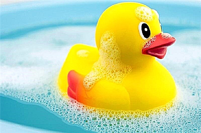 Yüzmek ve gelişmek mi, yoksa akıllı ve güvenli banyo oyuncaklarını nasıl seçmeli?