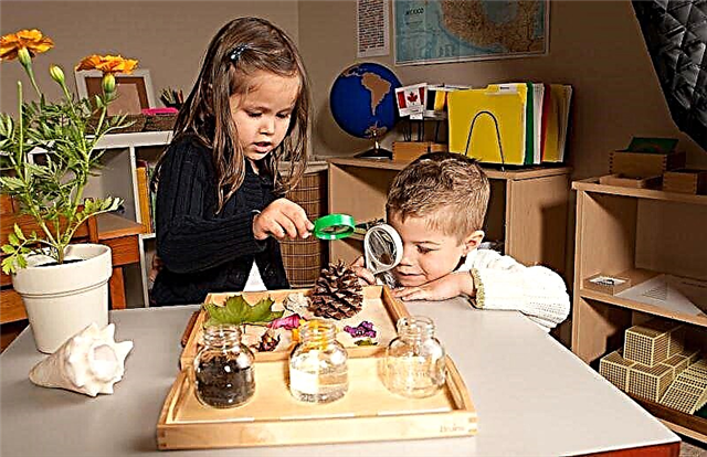 Metoda raného vývoje Marie Montessori: základní principy, klady a zápory