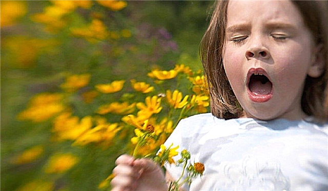 Alergia en un niño: causas, tipos y sus características, métodos de tratamiento.
