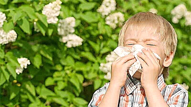 Årsaker og forebygging av pollinose hos barn