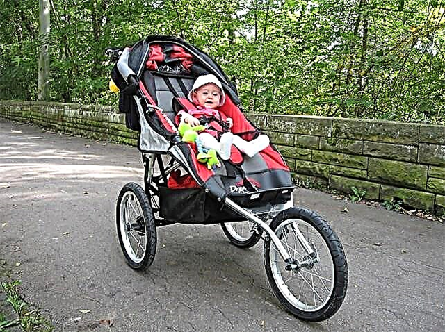 Three-wheeled strollers: features of selection and review of popular models
