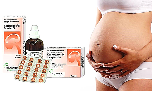  妊娠中の「カネフロン」：使用説明書