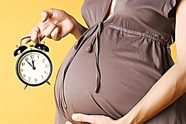 Hvilken uke med graviditet går de i fødselspermisjon og hva er det avhengig av?
