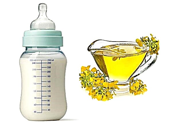 Je repično olje škodljivo za otroško hrano?