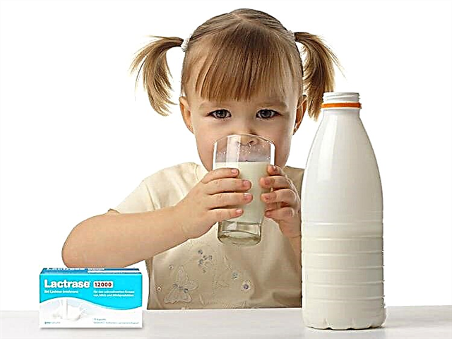 Waarom hebben we lactase-preparaten nodig voor kinderen?