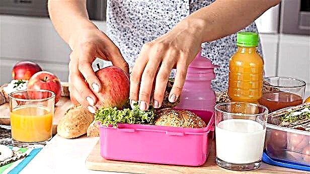 Lunch boxes for children: varieties and tips for choosing