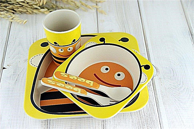 Sets of children's dishes: the best manufacturers and interesting options