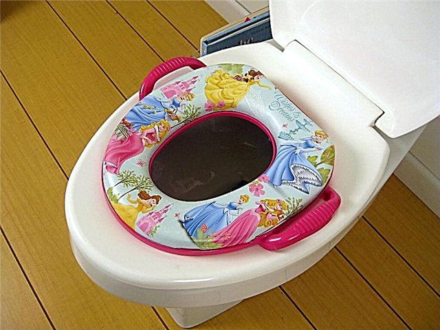 Choosing a child seat for the toilet