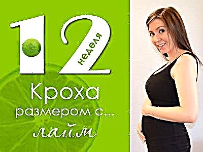 12 uker gravid: hva skjer med fosteret og den forventede moren? 