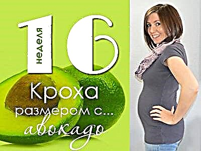 임신 16 주 : 태아와 임산부는 어떻게됩니까?